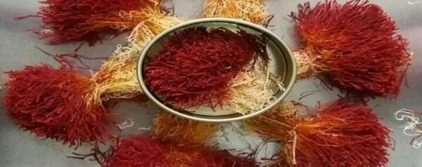 عکس نوشته خواص زعفران