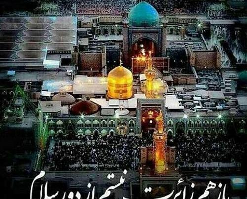 عکس حرم امام رضا و آهو