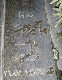 عکس های جهانگیر فروهر