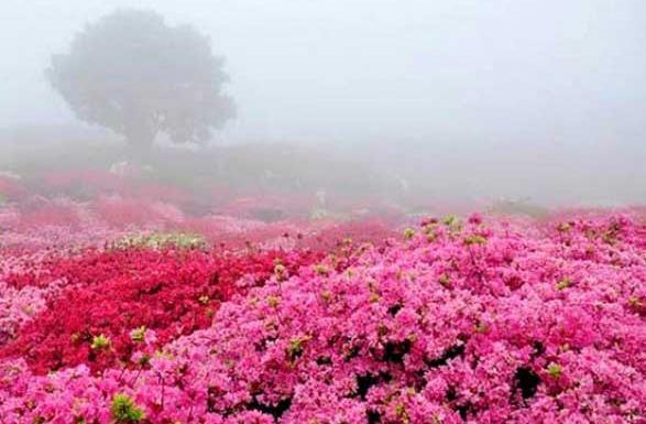 عکس جاهای باصفا