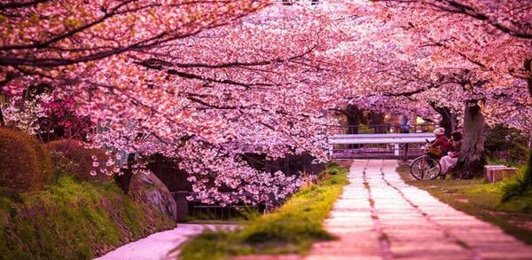 عکس جاهای باصفا