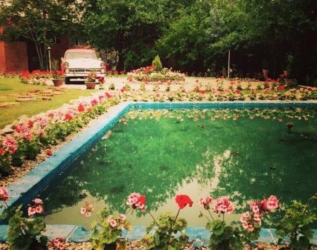 عکس خانه ی ترانه علیدوستی