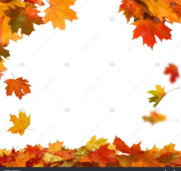 عکس برگ پاییزی فانتزی