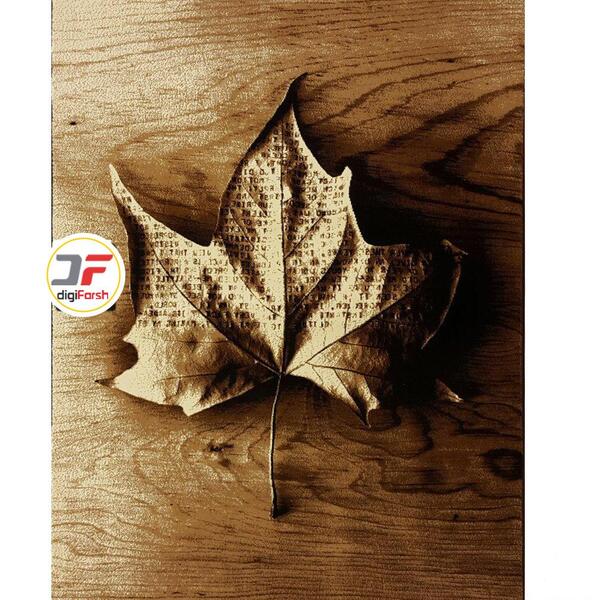 عکس برگ پاییزی فانتزی