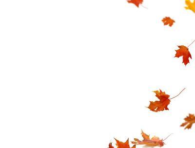 عکس برگ پاییزی برای فتوشاپ