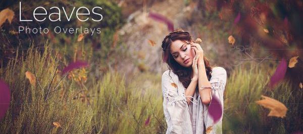 عکس برگ پاییزی برای فتوشاپ
