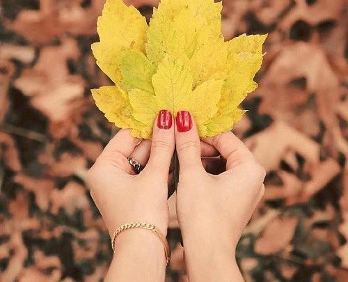 عکس نوشته زیبای پاییز