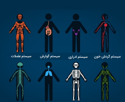 عکس در حال ساخت بدن
