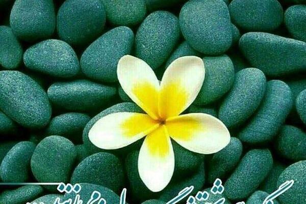 عکس سنگ زیبا برای پروفایل