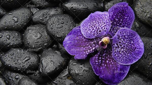 عکس سنگ زیبا برای پروفایل