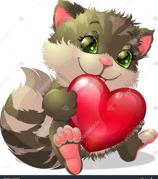 عکس قلب گربه
