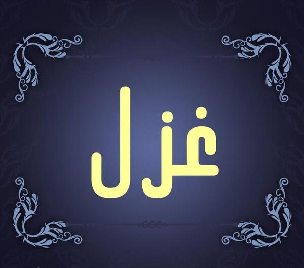 عکس گروه غزل