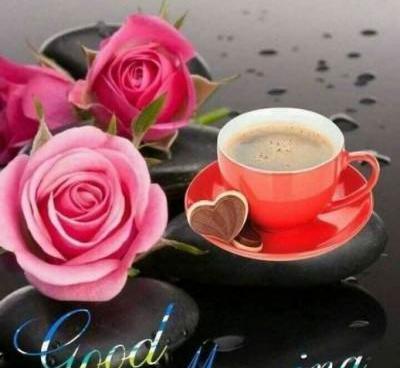 عکس صبح بخیر به اعضای گروه