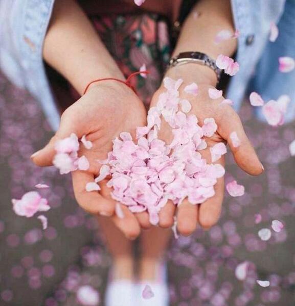 عکس پروفایل شیک جدید لاکچری