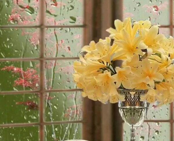 عکس تصویر خوشگل برای پروفایل