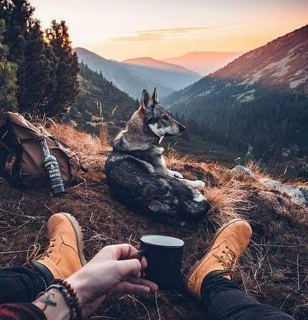 عکس پسرانه برای پروفایل طبیعی