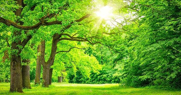 عکس درباره طبیعت زیبا