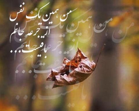 عکس پاییز تنهای