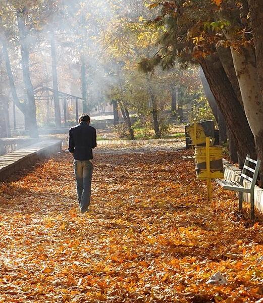 عکس پاییز تنهای