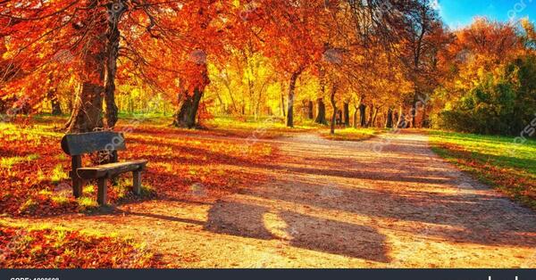 عکس پاییز صحنه