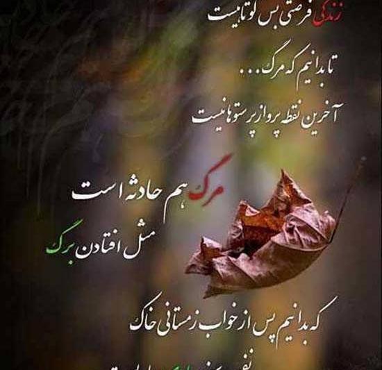 عکس پروفایل زیبا عارفانه