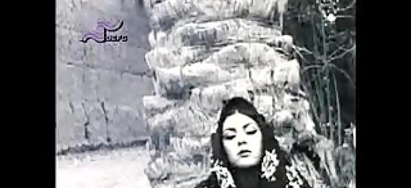 عکس روح انگیز سامی نژاد