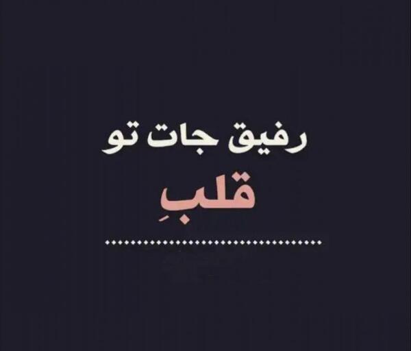 عکس پروفایل رفیق تک