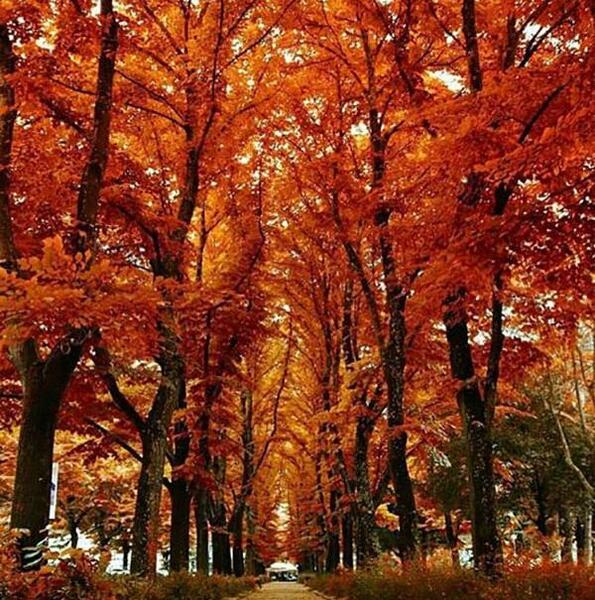 عکس پاییزی عاشقانه