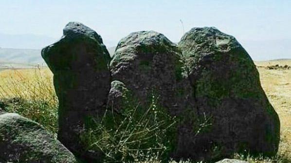 عکس شتر نشانه چیست