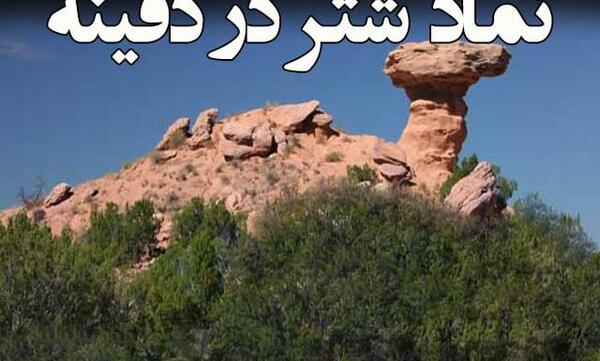 عکس شتر نشانه چیست