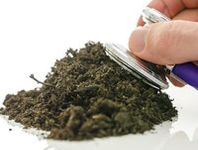 عکس خاک اسیدی