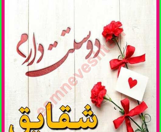 عکس تولدت مبارک شقایق