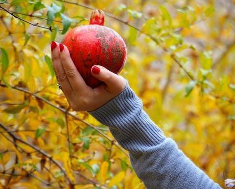 عکس پروفایل پاییزی عارفانه