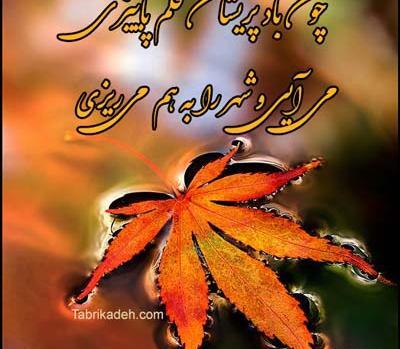 عکس پروفایل پاییزی عارفانه