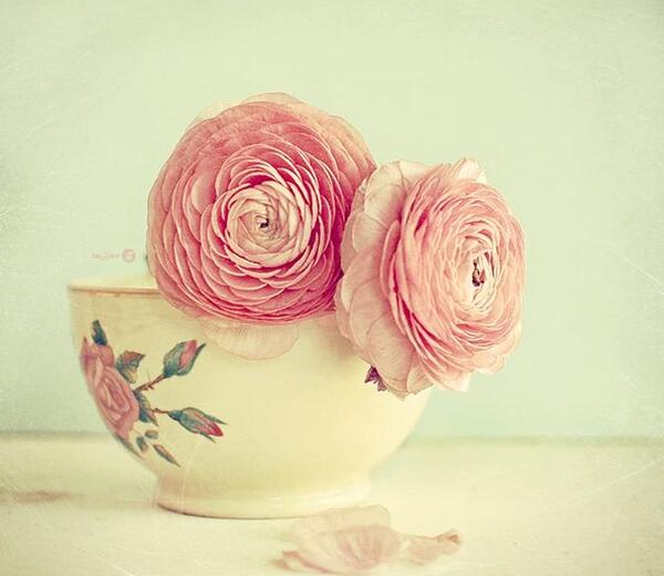 عکس زیبا صورتی برای پروفایل