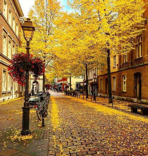 عکس پاییز ترکیه