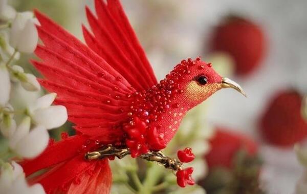 عکس قو در حال پرواز