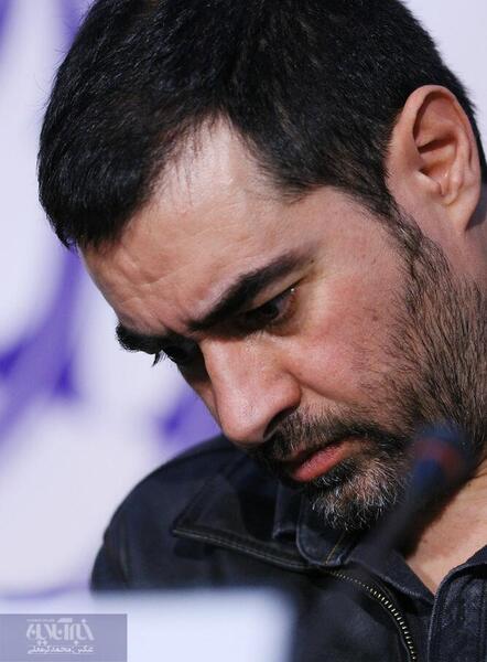 عکس شهاب حسینی در نشست خبری