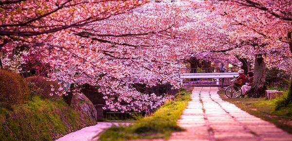 عکس جاهای دیدنی شیراز