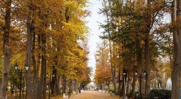 عکس پاییز رشت