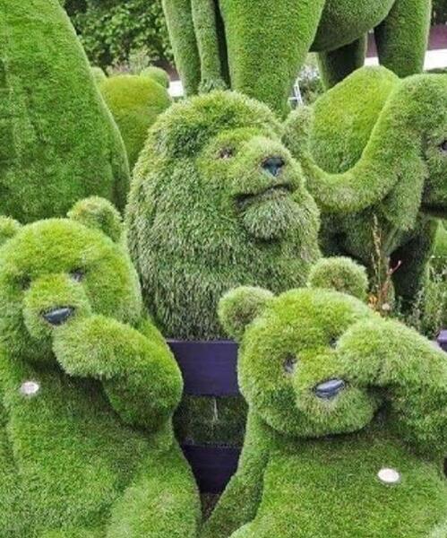 عکس منزل شخصی فاطمه گودرزی