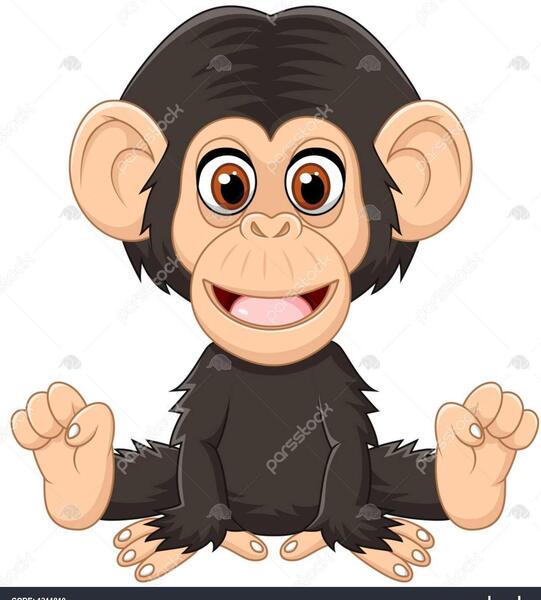 عکس میمون خنده دار کارتونی