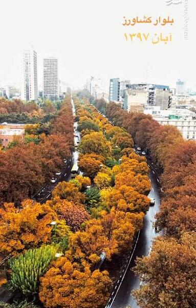 عکس پاییز زیبای تهران