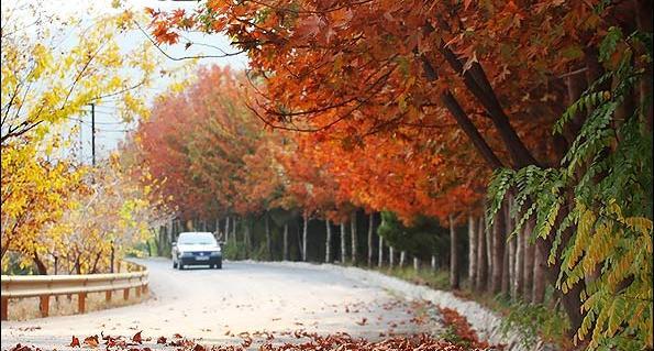 عکس پاییز زیبای تهران