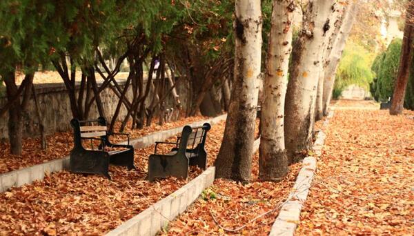 عکس پاییز زیبای تهران