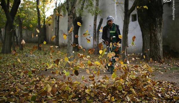 عکس پاییز زیبای تهران