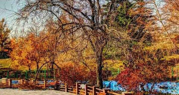 عکس پاییز زیبای تهران