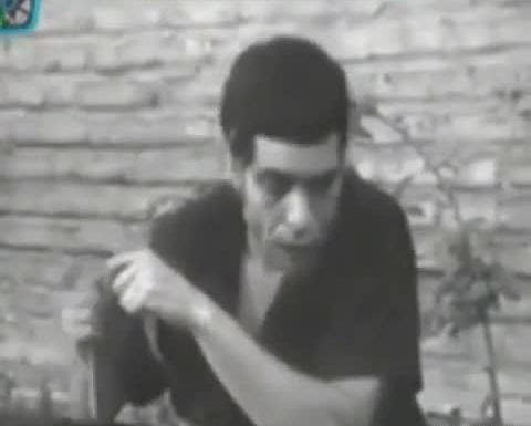 عکسهای بهروز وثوقی گوزنها
