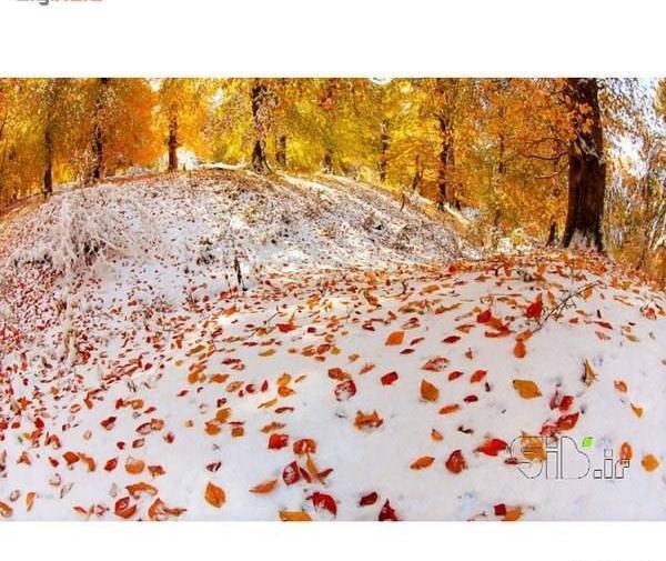 عکس پاییز زمستانی