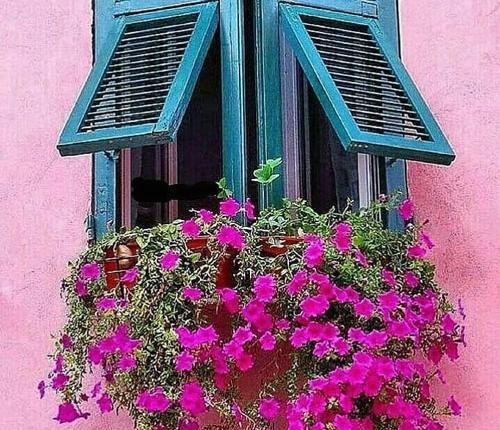 عکس فیلم صبح بخیر
